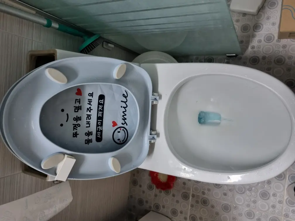 변기막힘